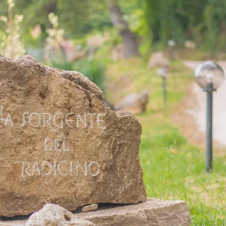 La Sorgente del Radicino-2
